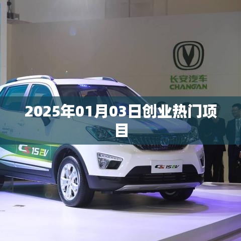 2025年創業熱門項目揭秘,把握未來商機