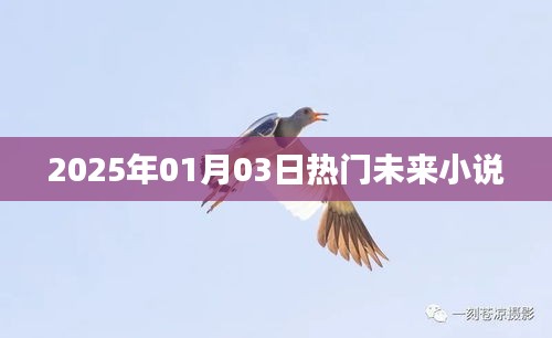 張皇鋪飾 第5頁