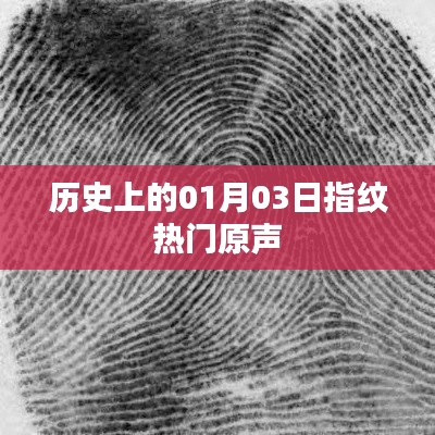 指紋熱門原聲揭秘,歷史上的今天回顧