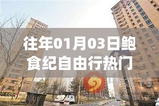 鮑食紀自由行,熱門攻略搶先收藏