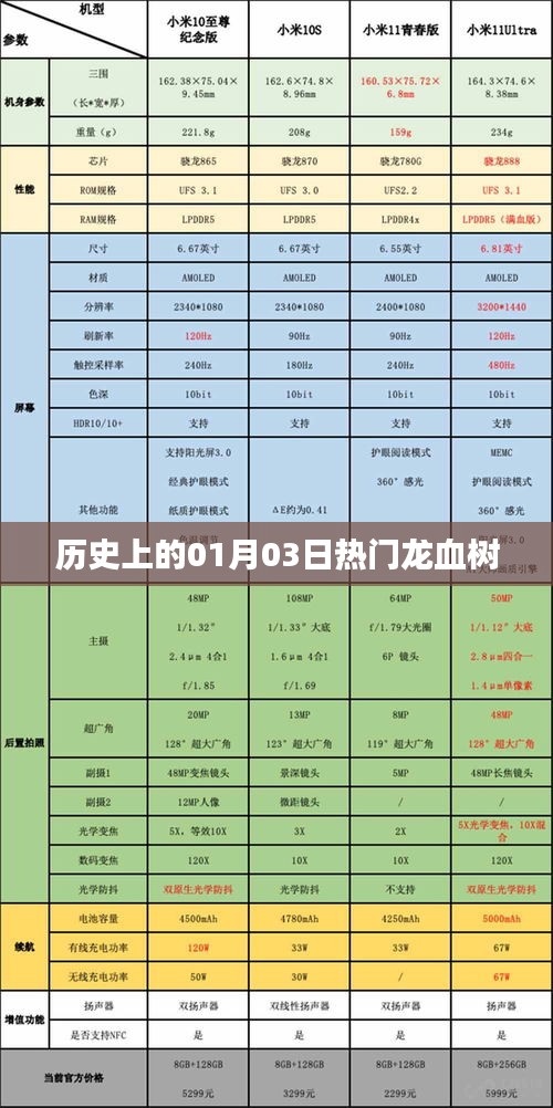 龍血樹的歷史變遷,一月三日的重要時刻回顧