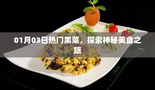 熱門黑菜探索，神秘美食之旅（日期標注）