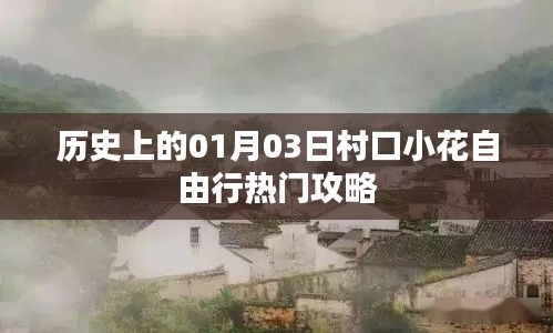 村口小花自由行,一月三日熱門攻略回顧