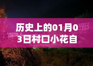 村口小花自由行,一月三日熱門攻略回顧