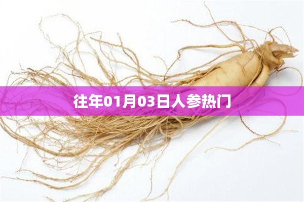 人參熱門事件回顧,歷年一月初三矚目時刻