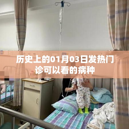 1月3日發(fā)熱門(mén)診可診療病種概述