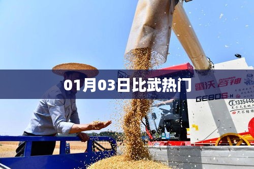 比武熱門事件揭秘,01月03日精彩對決