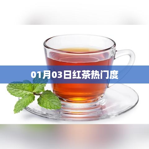 紅茶熱門(mén)度揭秘，最新趨勢(shì)分析（日期，01月03日）