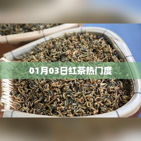 紅茶熱門度揭秘,最新趨勢分析(日期,01月03日)