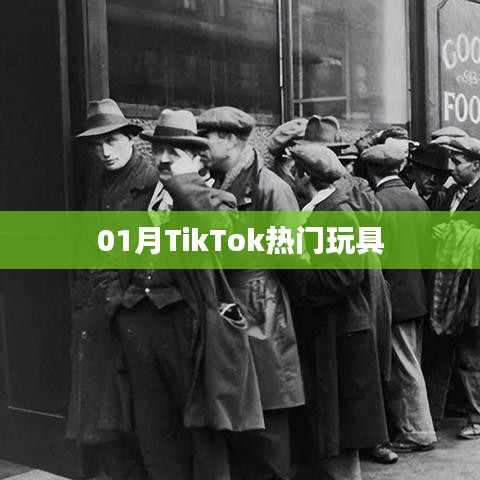 TikTok熱門玩具大盤點(一月精選)