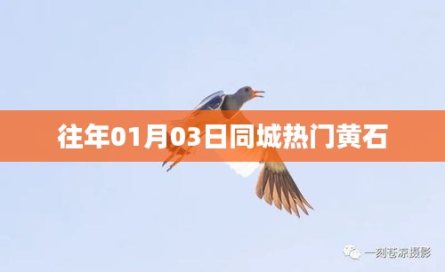 黃石同城熱門活動回顧