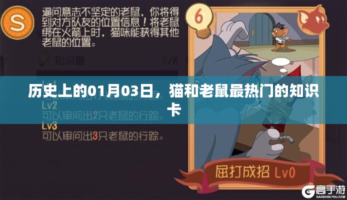 貓鼠知識卡,歷史上的熱門時刻,探尋秘密背后的故事