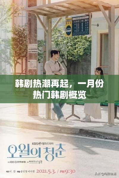 一月份韓劇熱潮回顧，熱門劇集概覽