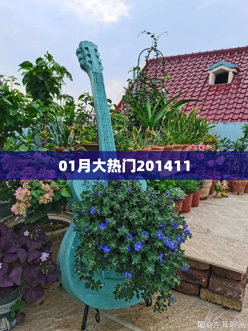 大熱門事件回顧,揭秘2014年1月熱點話題