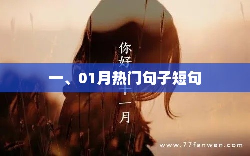 精選一月熱門短句,溫暖人心