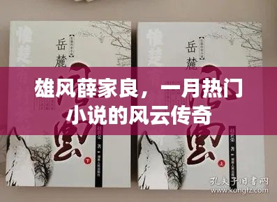 雄風薛家良,風云傳奇小說火爆一月