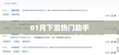 冬季熱門助手,一月雪落助手