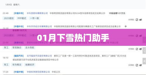 冬季熱門助手,一月雪落助手