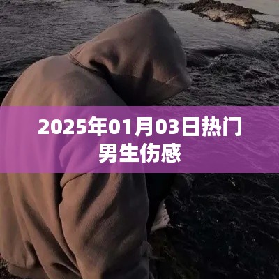 男生傷感情緒,2025年1月3日熱門話題
