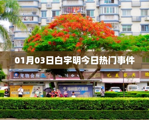 白宇明最新熱門事件曝光,關注細節解析