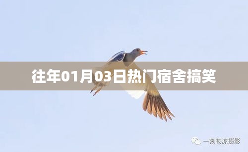 宿舍歡樂瞬間，歷年一月三日爆笑回顧