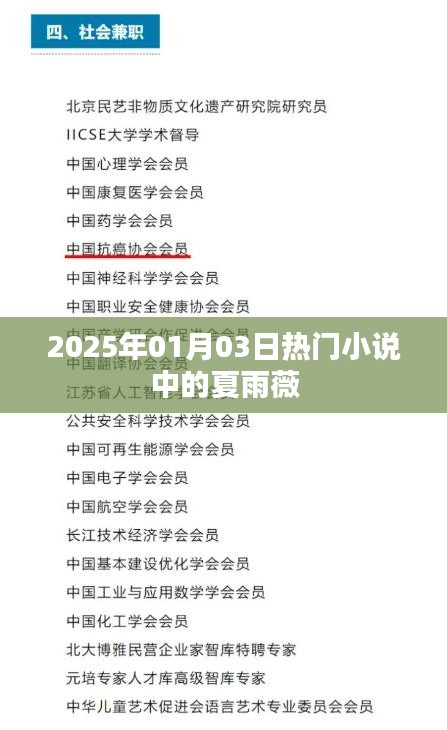 夏雨薇,2025年超人氣小說主角,魅力非凡