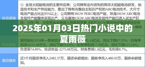 夏雨薇,2025年超人氣小說主角,魅力非凡