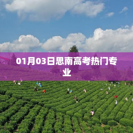 思南高考熱門專業(yè)解析(最新動態(tài))