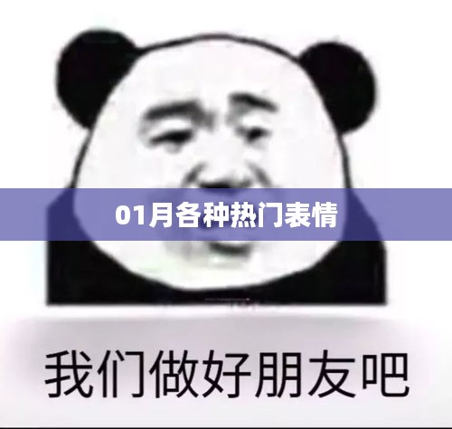 01月流行表情匯總