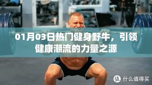 熱門健身野牛,引領健康潮流的力量之源