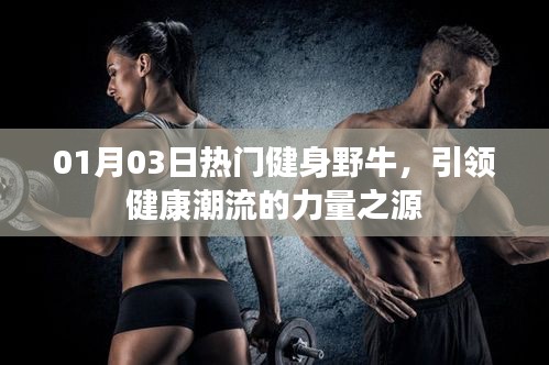 熱門(mén)健身野牛,引領(lǐng)健康潮流的力量之源