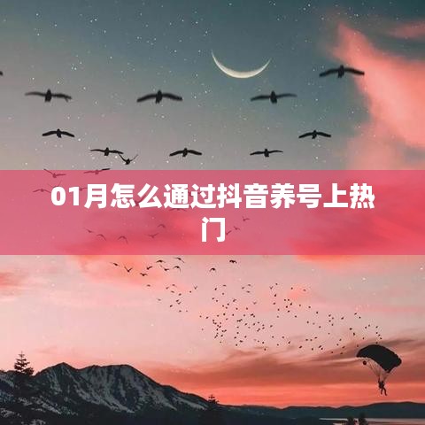 抖音養號攻略,如何一月內上熱門?