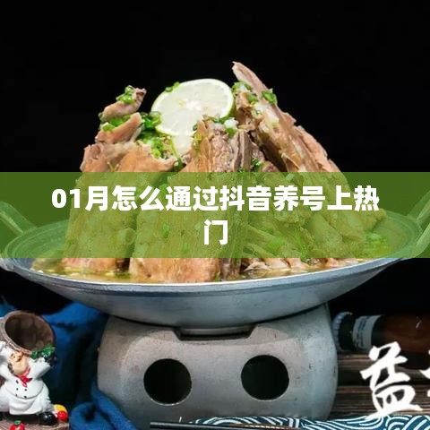 抖音養號攻略,如何一月內上熱門?