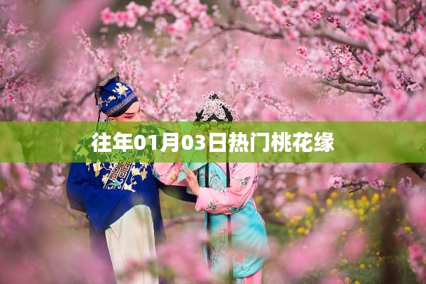 往年一月初桃花盛開,緣分盛開日