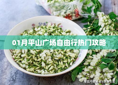 平山廣場自由行指南,熱門攻略一網打盡