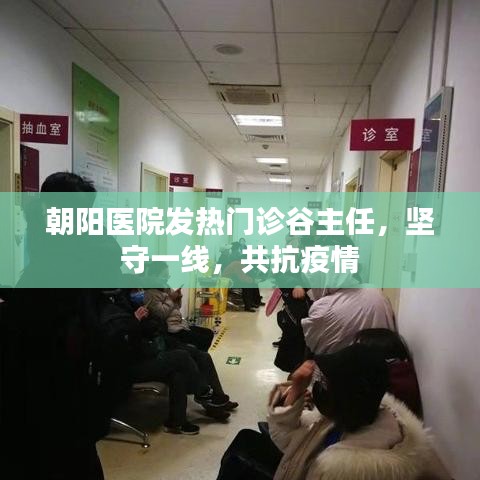 朝陽醫(yī)院發(fā)熱門診谷主任堅守一線抗疫