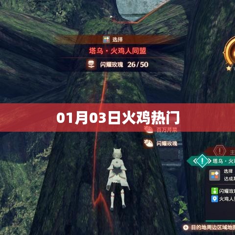 火雞熱門風(fēng)潮，揭秘背后的故事