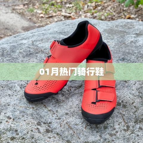 熱門騎行鞋大盤點,一月選購指南