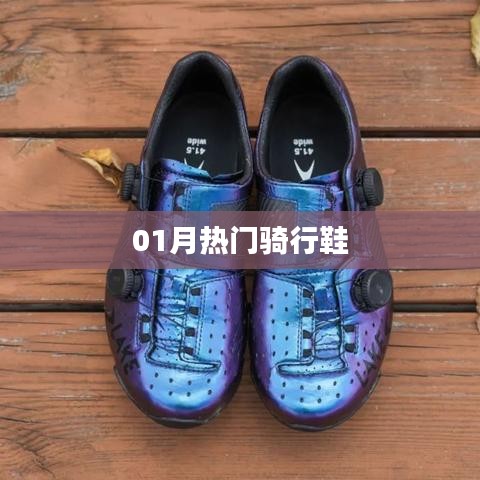 熱門騎行鞋大盤點,一月選購指南