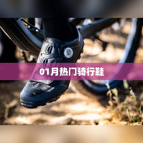 熱門騎行鞋大盤點,一月選購指南