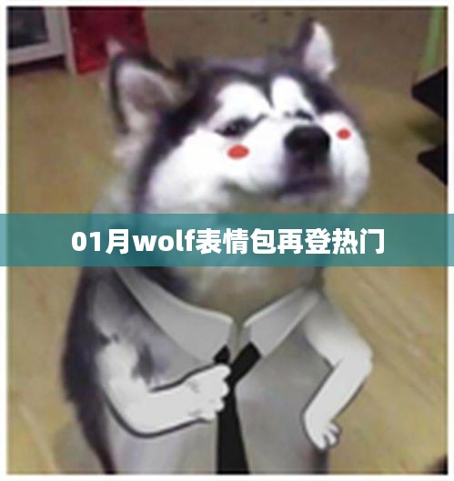 January熱門表情包,wolf表情再登榜首