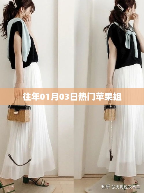蘋果姐元旦熱門事件回顧