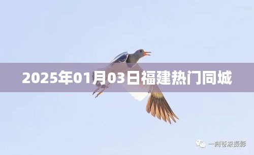『福建同城熱點速遞,2025年1月3日最新資訊』