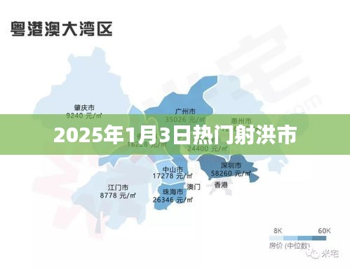 射洪市熱門活動預告,2025年1月3日盛事盤點