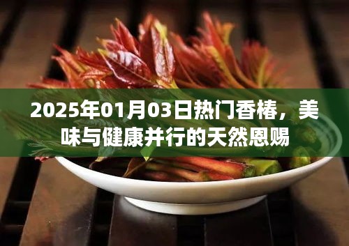香椿盛宴,美味與健康并行的天然恩賜(2025年)
