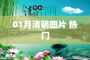 01月清明圖片,精選熱門美圖欣賞