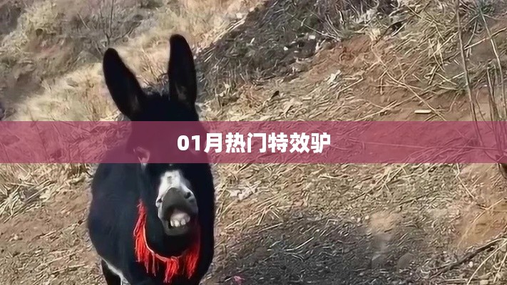 特效驢，揭秘一月熱門潮流元素！