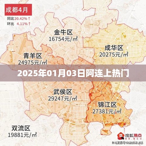 阿連現象,揭秘其2025年熱門背后的秘密