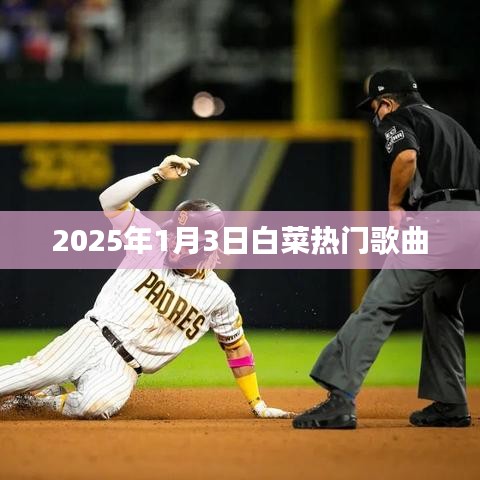 『2025年白菜熱門(mén)歌曲榜單揭曉』