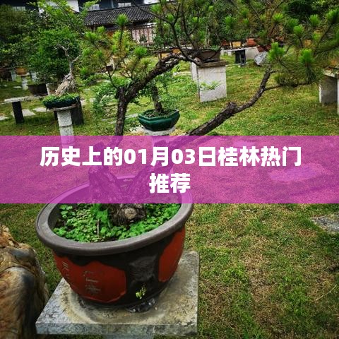 桂林熱門推薦,歷史上的今天,一月三日不容錯過